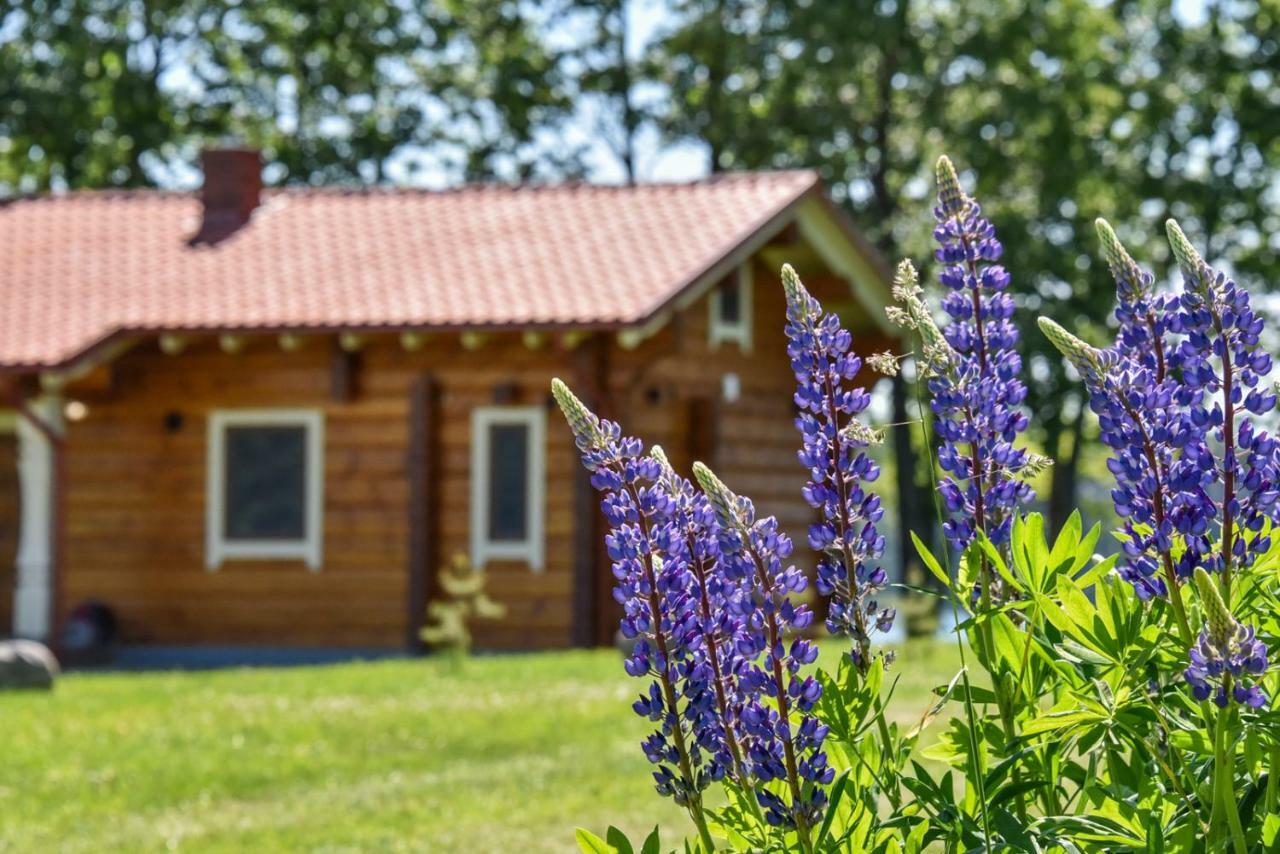 Meku Vila Degučiai Exteriér fotografie